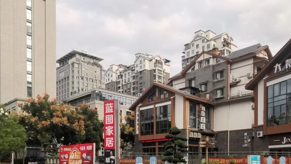 景宁座谈会3-3.jpg