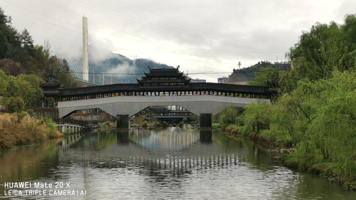 景宁座谈会2-2.jpg